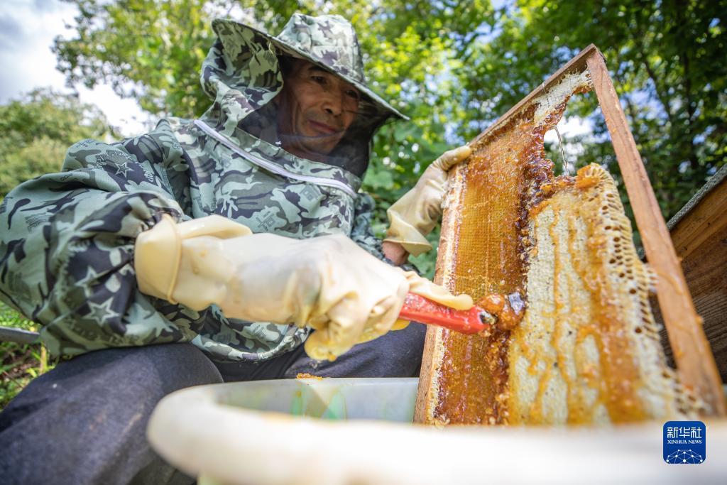 巴黎人直营网